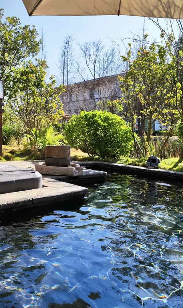 1716966879931521.jpg 8.jpg